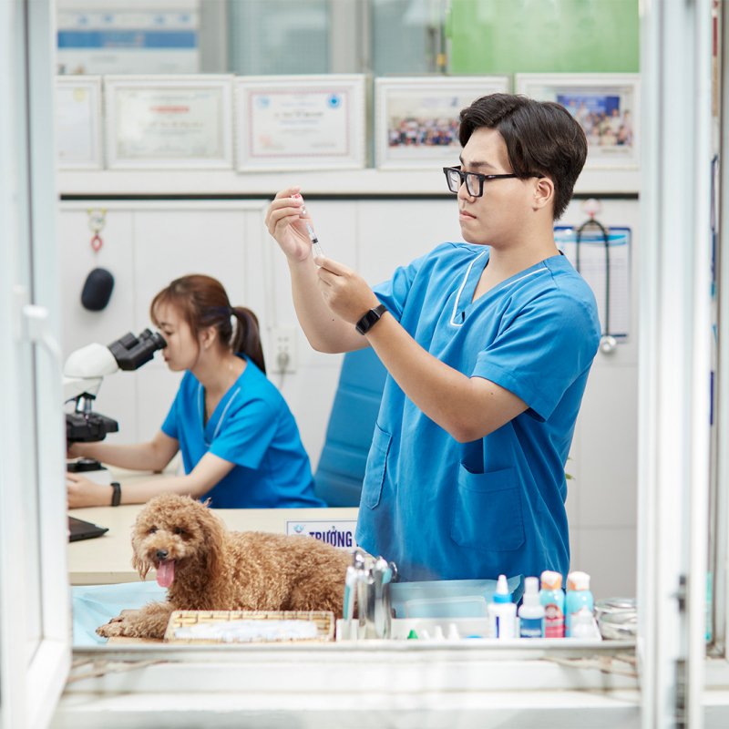 Top 10 Dịch vụ chăm sóc thú cưng uy tín nhất tại TPHCM - Toplist.vn