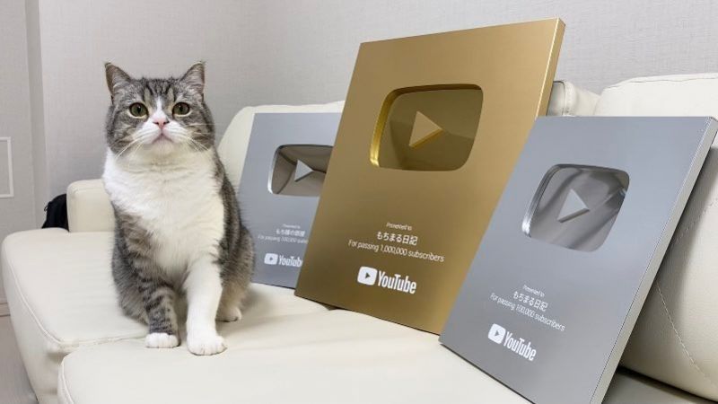 Mochimaru lập kỷ lục chú mèo có lượt xem Youtube cao nhất | KILALA