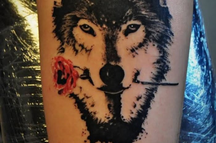 Hình xăm chó sói và hoa hồng