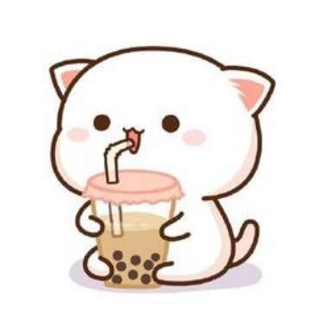 Mèo Cute Chibi Uống Trà Sữa cute