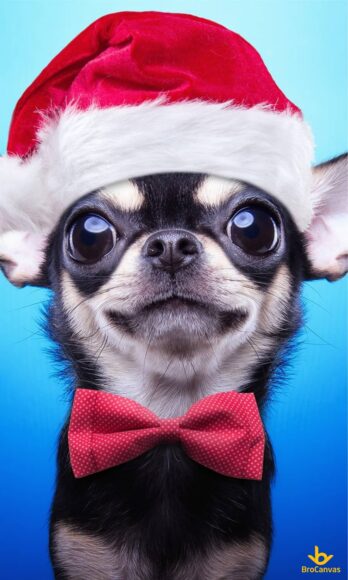 Ảnh chó cute đội mũ Noel
