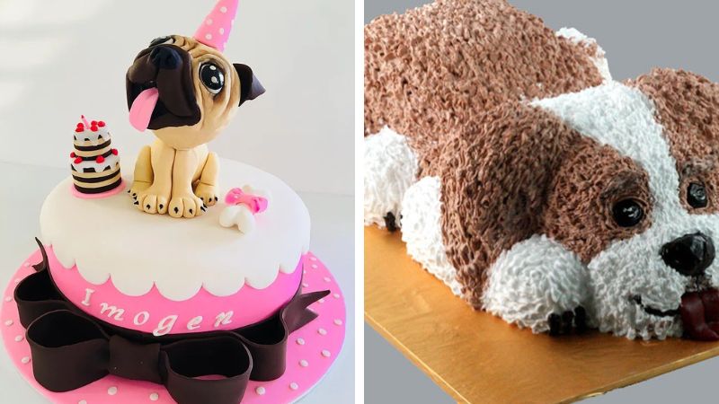 Bánh sinh nhật con chó thông minh