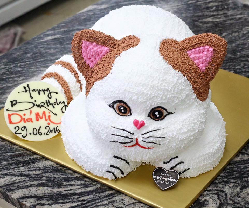 Top 100 Mẫu bánh sinh nhật hình mèo nổi bật đặc biệt nhất 2023  Chăm Sóc  Thú Cưng