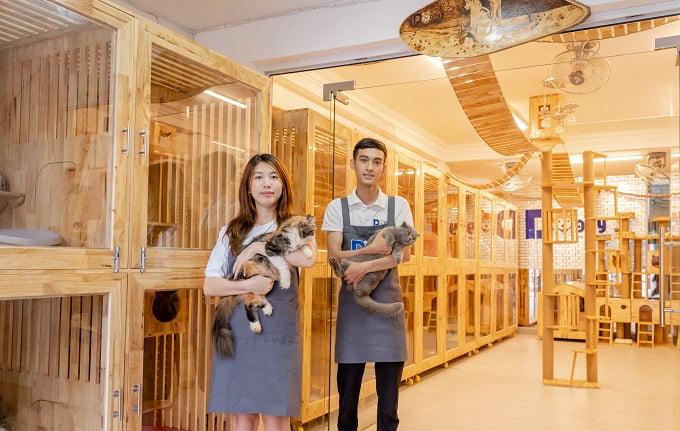 Khách Sạn Chó Mèo, Thú Cưng: dịch vụ trông giữ gửi Pet Hotel