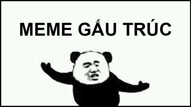 meme gấu trúc