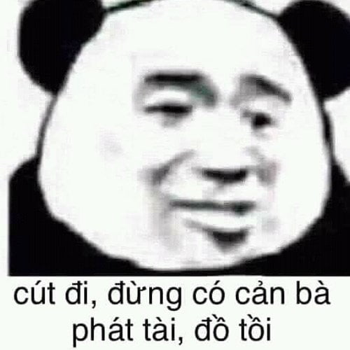 Meme cút đi đừng có cản bà phát tài, đồ tồi