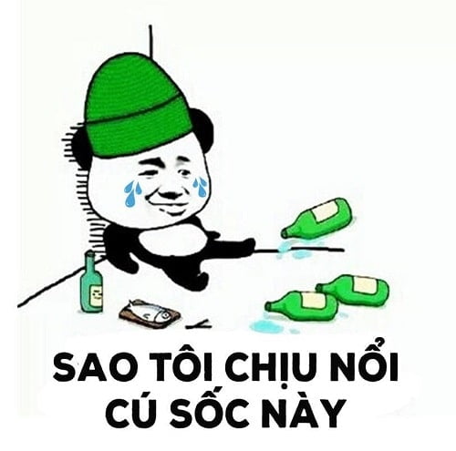 Sao tôi chịu nổi cú sốc này