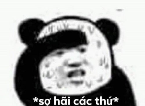Hình ảnh meme panda sợ hãi các thứ